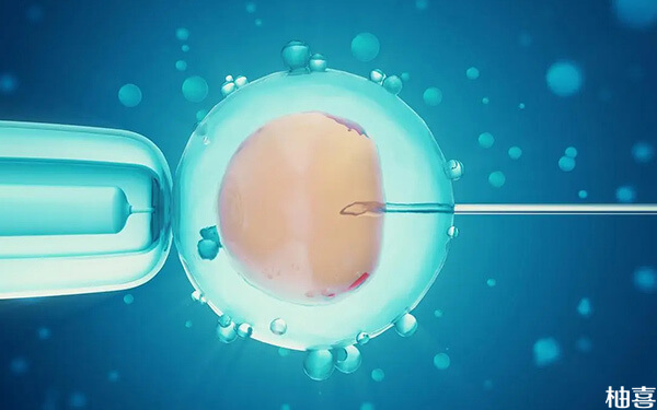 鲜胚着床成功率低为啥长方案还要移植鲜胚?