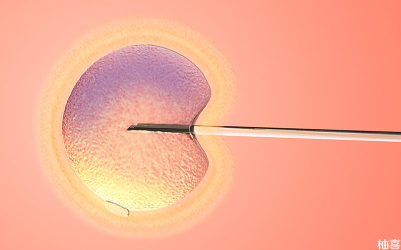 移植3天鲜胚着床成功率高达90%