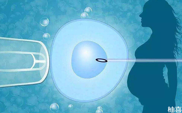 拮抗剂促排方案能选择在当月移植配好的囊胚吗?