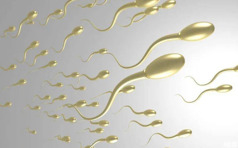 精子发黄分为生理性发黄和病理性发黄
