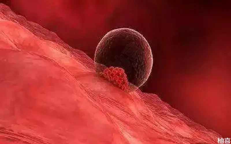 胚胎着床会导致褐色分泌物