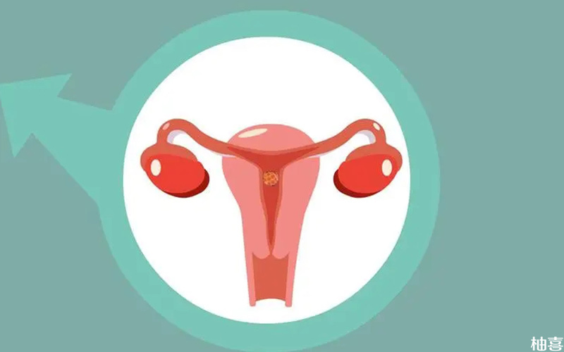 黄体期促排卵方案适合卵巢功能好的患者
