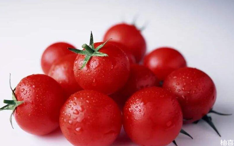 番茄红素可以提高精子的免疫力