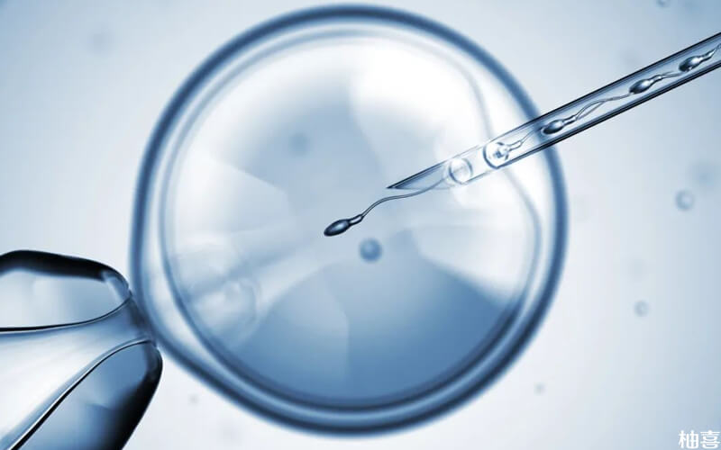 通过手术挑选出不存在染色体异常的精子