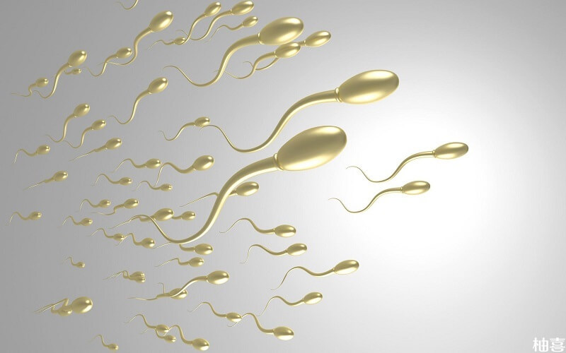 精子畸形的意思就是精子发育不良