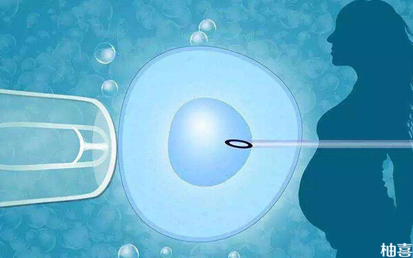 试管宫外孕后再次移植胚胎会更容易着床是真的吗?