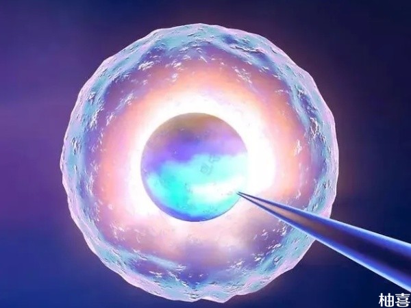 移植1pn囊胚也可以生下正常孩子