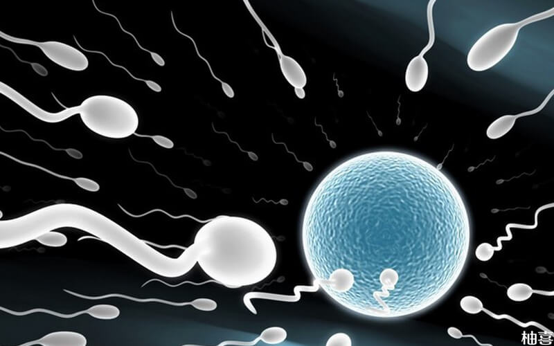 精子的浓度太低会导致女方不能生育