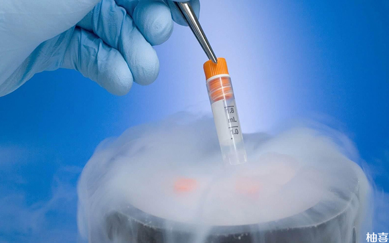 冷冻时间的长短不会对囊胚质量造成影响