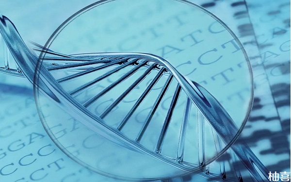 精子DNA碎片率检查报告单结果解读，一分钟知晓dfi正常值