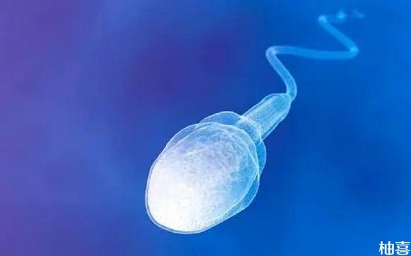 预防精子DNA碎片率高有技巧，弄清引起原因避免不是事！