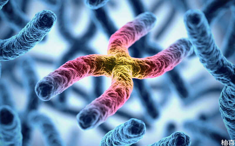 男性精子DNA碎片率高会影响胚胎的发育