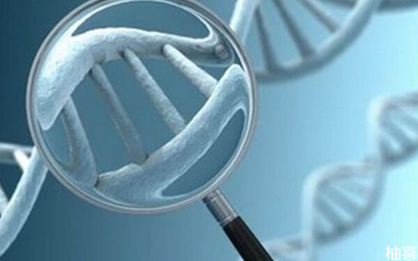 一文科普染色体缺失4大原因，遗传因素只是其中之一