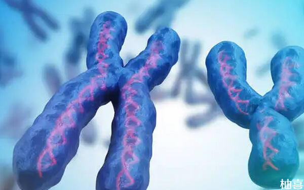 3分钟知晓染色体缺失是什么，别再和基因突变弄混淆！