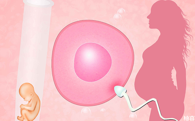 降调促进子宫内膜生长和卵泡发育