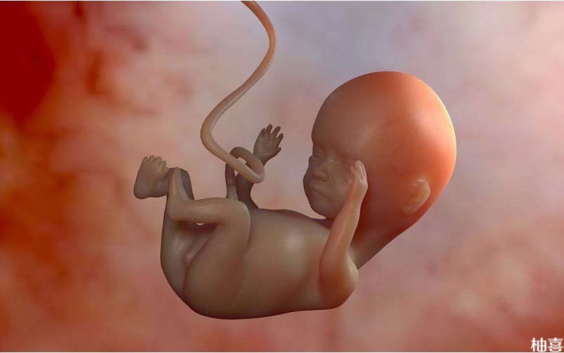 孕妇吃米非司酮导致胎儿致畸