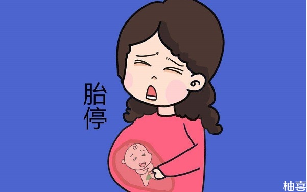 为什么国外有些生殖医生主张胎停后尽快怀孕？