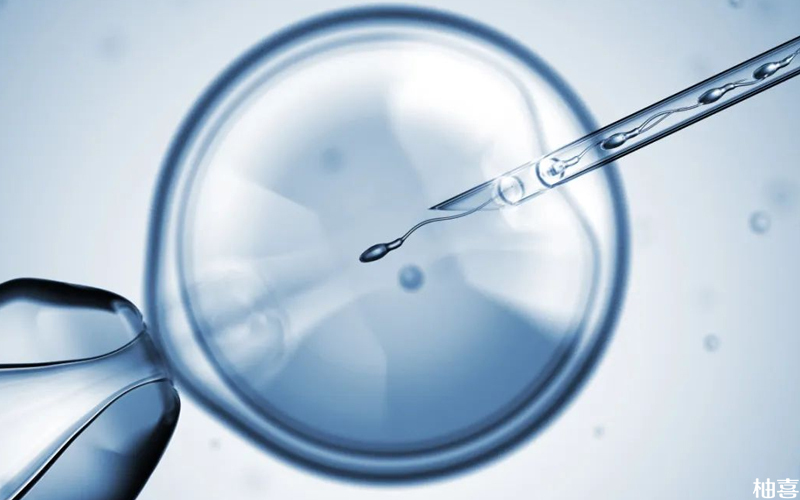 囊胚移植对子宫内膜有一定的要求