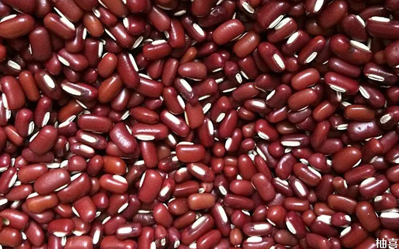 红豆薏米水要选赤小豆