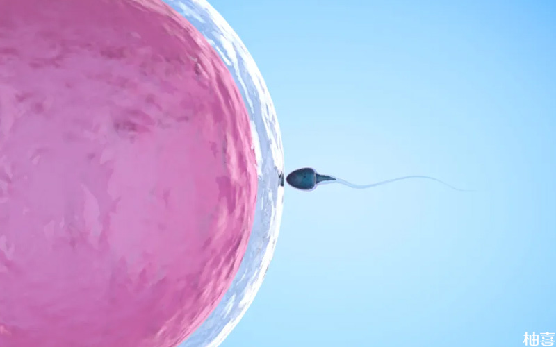 窦卵泡计数可以反应女性卵巢质量