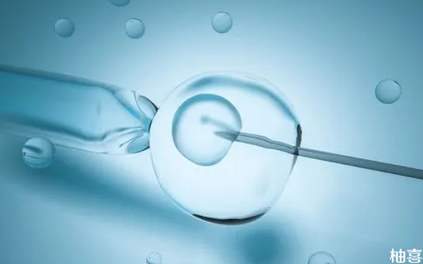 胚胎移植后运动也可适量，提高试管着床率真不是梦！