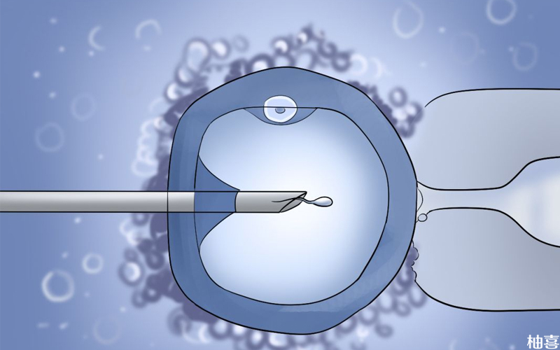 精子分离术和第三代试管技术的区别