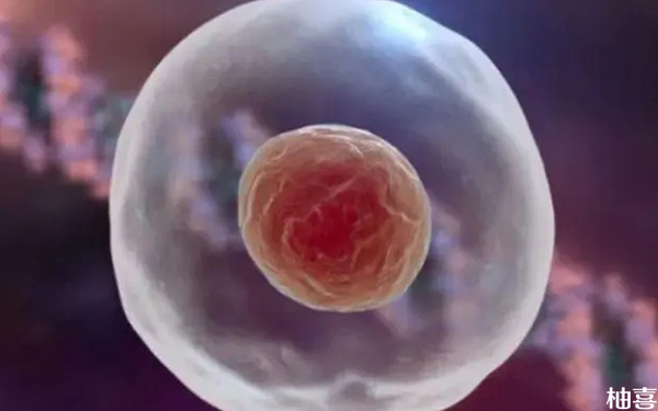 内膜19mm就算移植也不易怀孕？胚胎着床难度超乎你想象