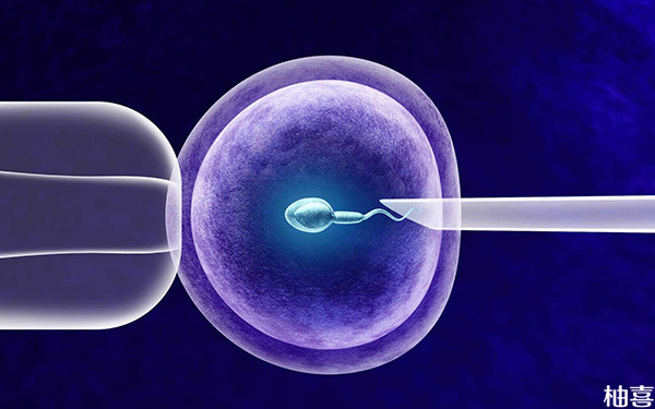 囊胚移植前女性最佳子宫大小标准是多少?