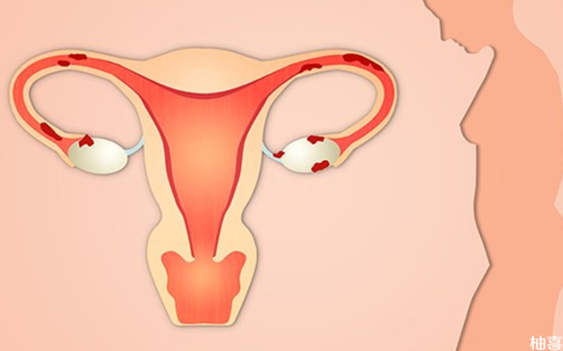 囊胚移植前女性最佳子宫大小标准