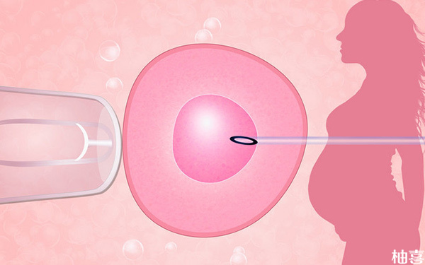 试管婴儿胚胎移植位置是直接放到子宫还是输卵管?