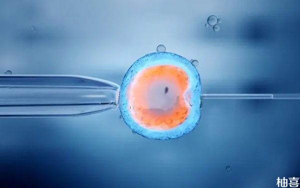试管婴儿移植第21天胚胎在宫腔内长稳了吗? 鲜胚移植在子宫游动图