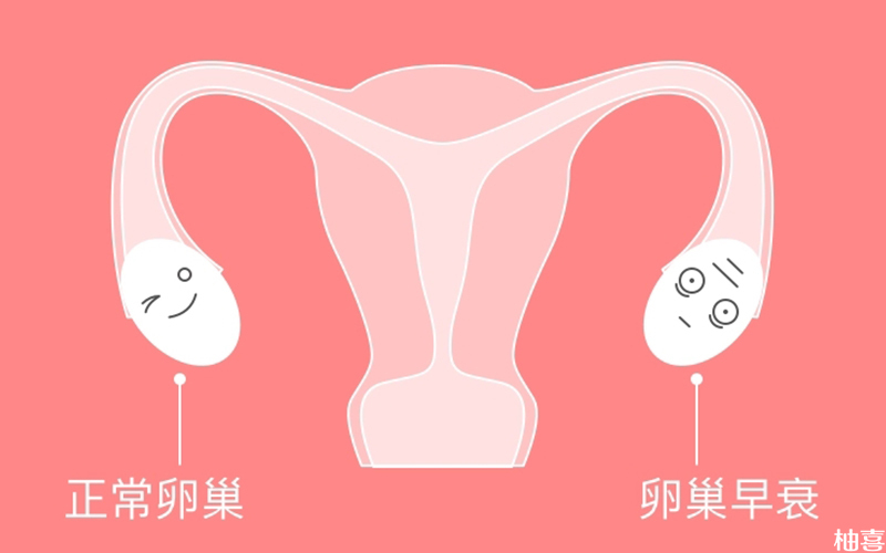 卵巢早衰可以做试管婴儿