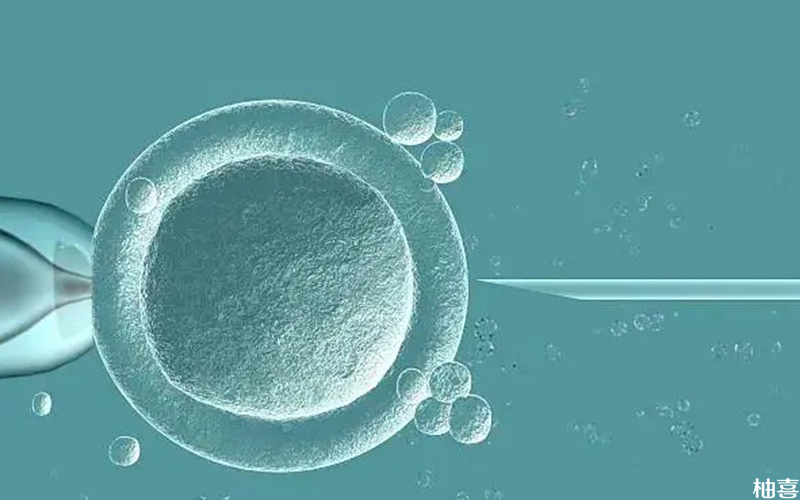 卵巢早衰可以做三代试管