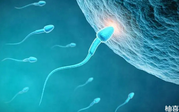 女性抗精子抗体报告阳性可以做几代试管助孕?