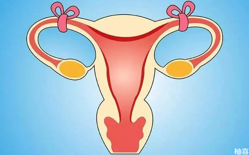 输卵管堵塞可采取药物治疗的方法疏通
