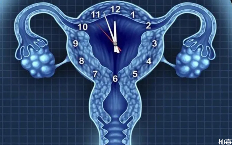 双侧输卵管堵塞的患者能怀孕