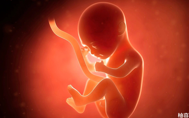 肾炎会影响胎儿发育