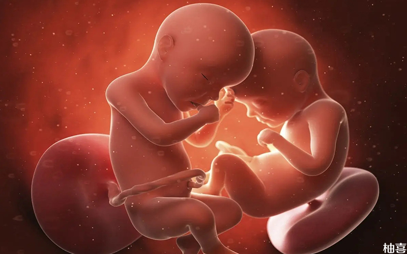 单角子宫会影响胎儿发育