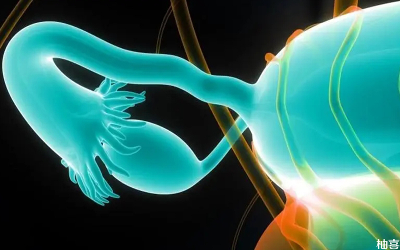 输卵管切除患者有怀孕可能