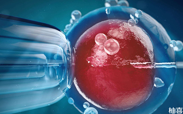 冷冻胚胎解冻损伤率高吗?会不会影响质量?