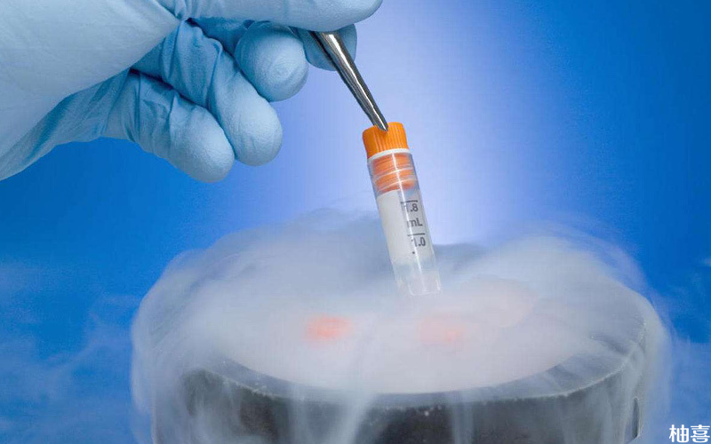 冷冻胚胎解冻不会影响质量
