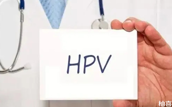 HPV阳性是否要孩子还得看情况！低危、高危选择各不同