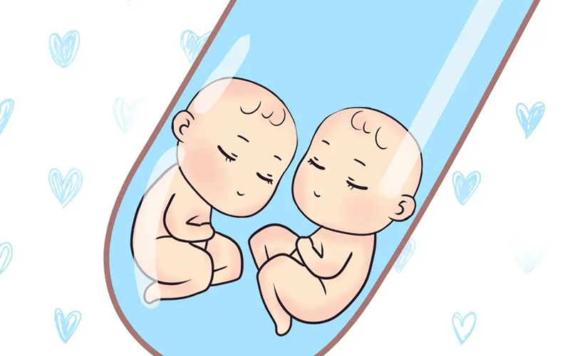 个子矮做试管婴儿能要双胞胎