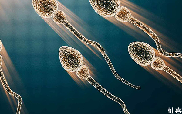25岁检测出大头精子数高治疗后还能成功受孕吗？