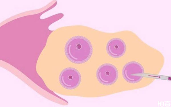 拮抗剂方案取卵数目只有7个，是不是代表卵巢功能不好？