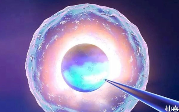 取卵一次数量达到13个，卵巢会出现过度刺激的影响吗？