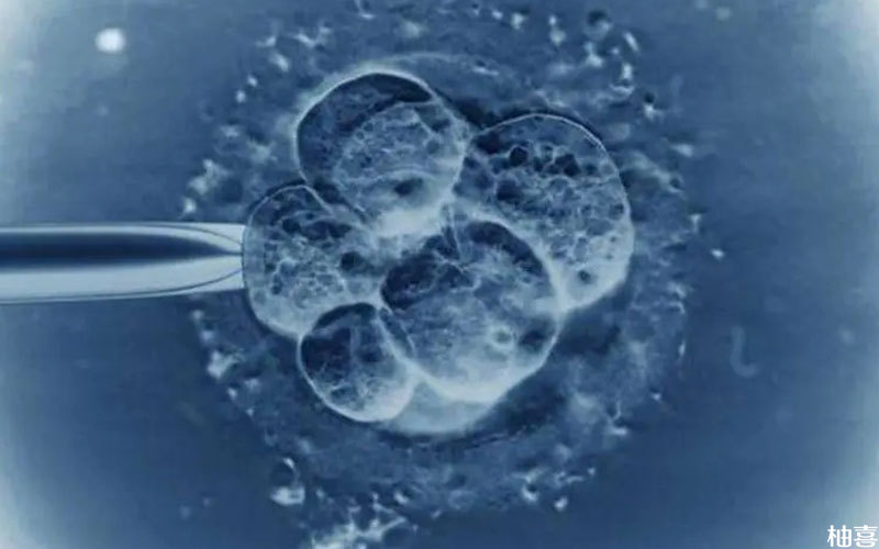 一次取卵26个卵泡会对卵巢造成伤害
