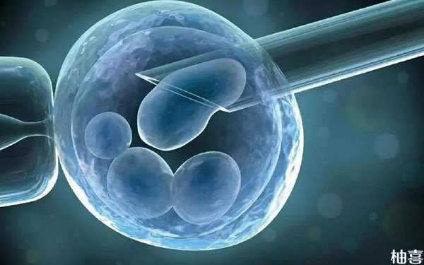 一次性取卵29个对卵巢功能是不是不太好？有什么危害？