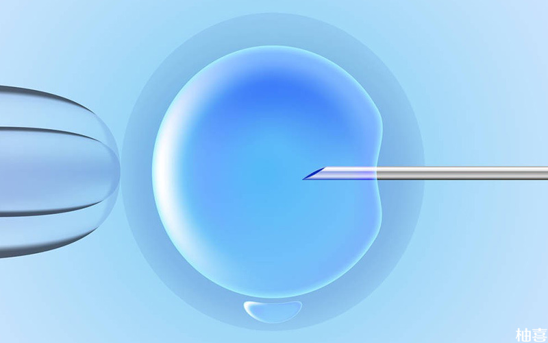 取卵17个一般能配8-12左右的优质胚胎