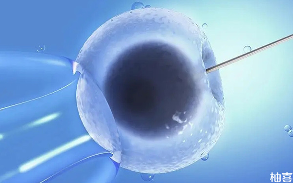 取卵第三天胚胎4细胞能做移植用吗?